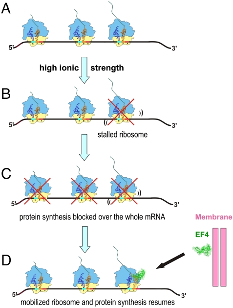 Fig. 4.