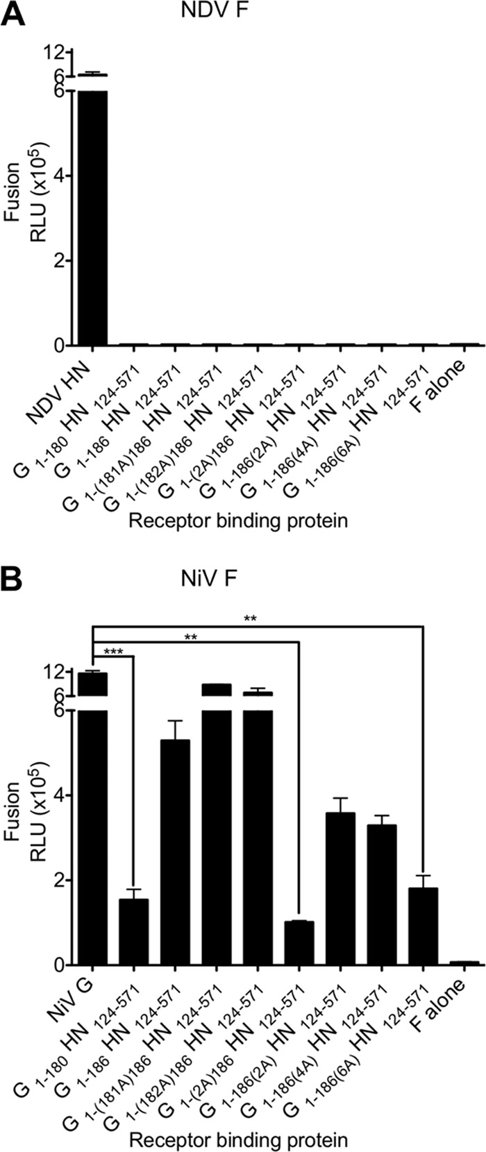 Fig 5