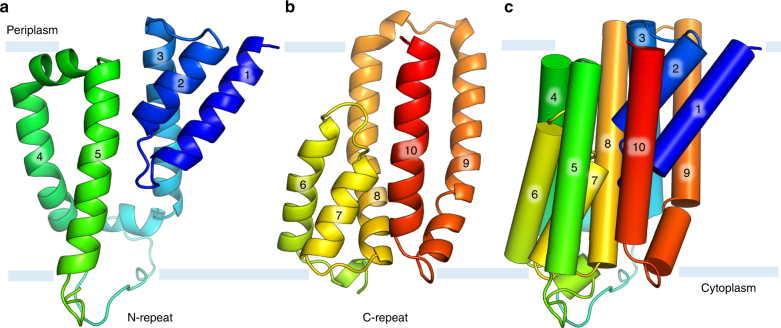 Fig. 9