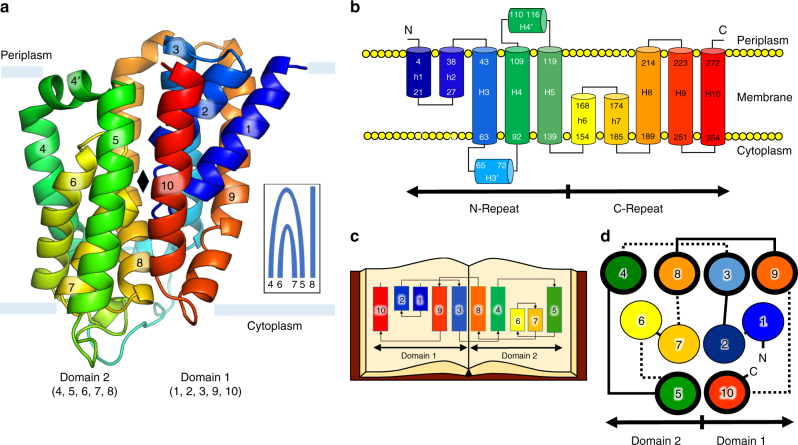 Fig. 3