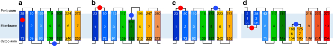 Fig. 2