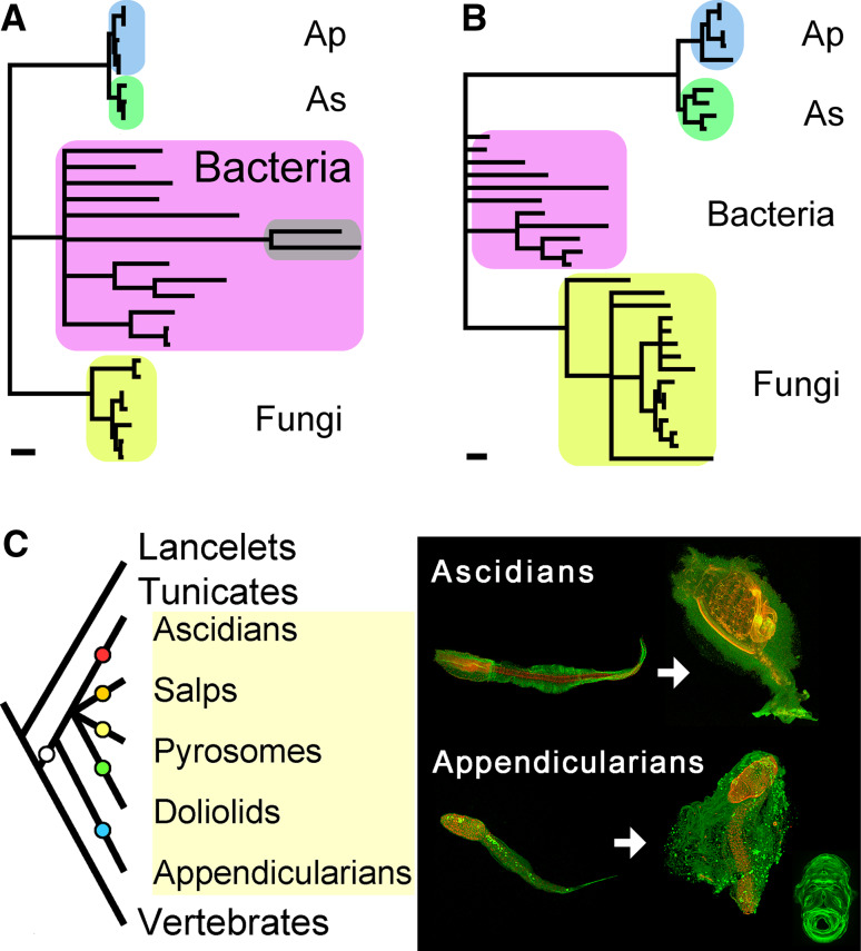 Fig. 4a–c