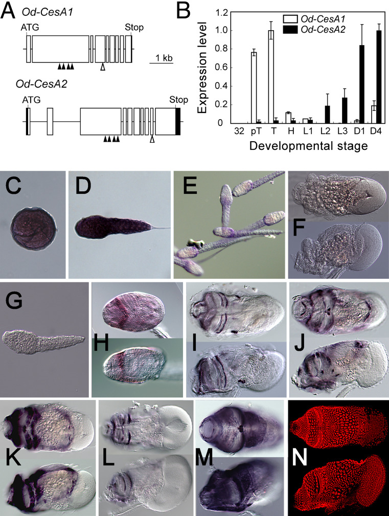 Fig. 3a–n