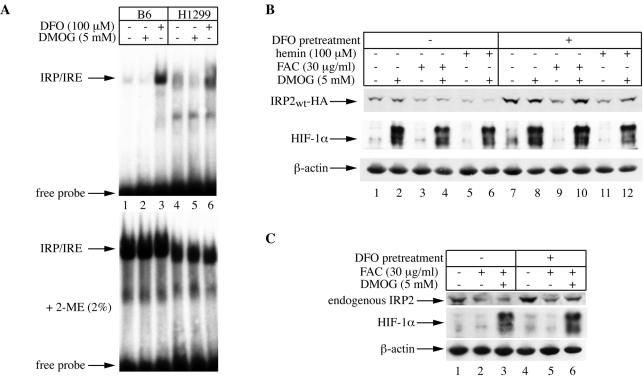 FIG. 8.