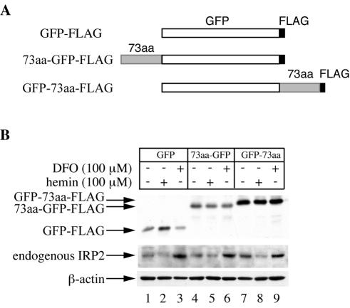 FIG. 7.