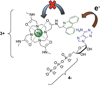 Figure 24