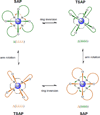 Figure 48