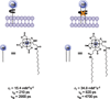 Figure 40