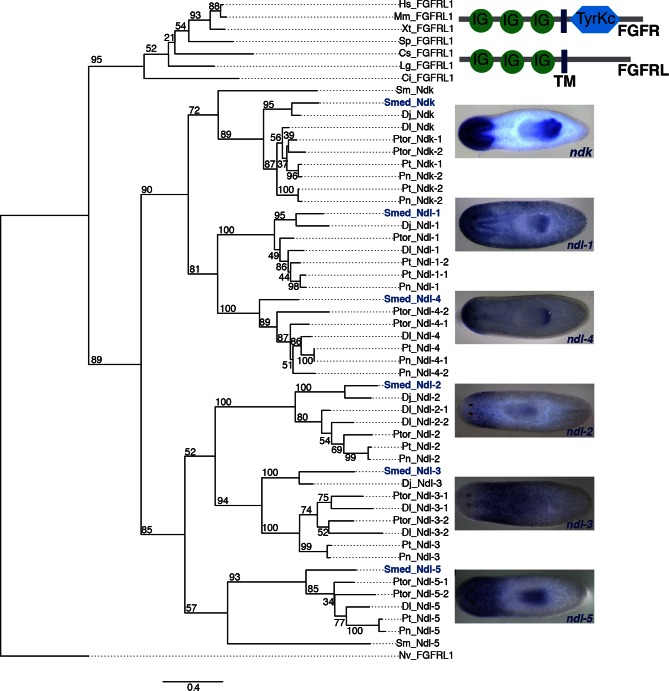 Figure 2—figure supplement 2.