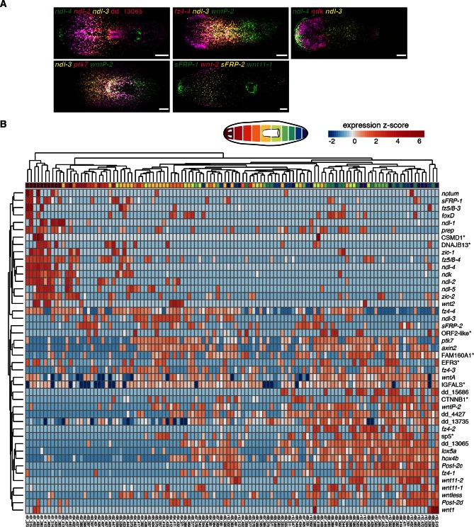 Figure 2—figure supplement 1.