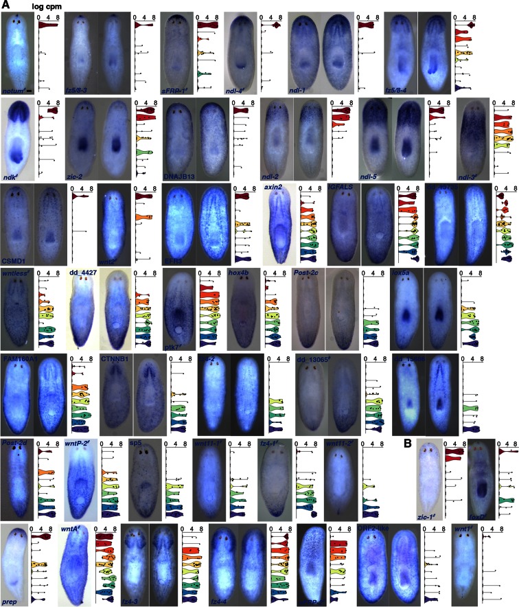 Figure 1—figure supplement 2.