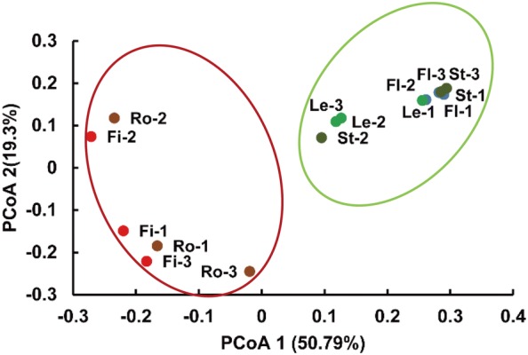 Fig. 2