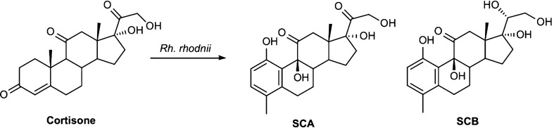 Scheme 1.