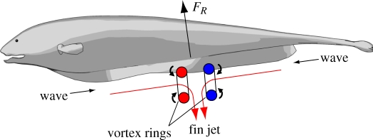 Figure 10.