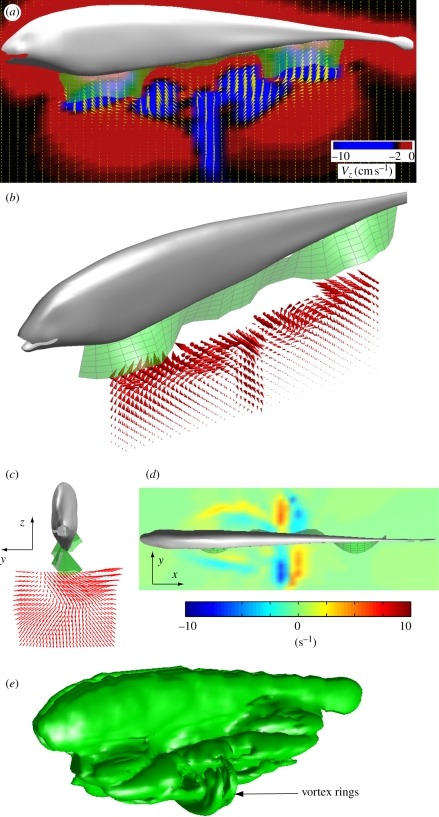 Figure 5.