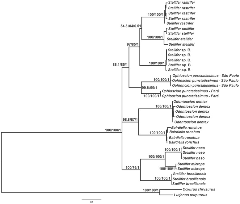 Figure 1