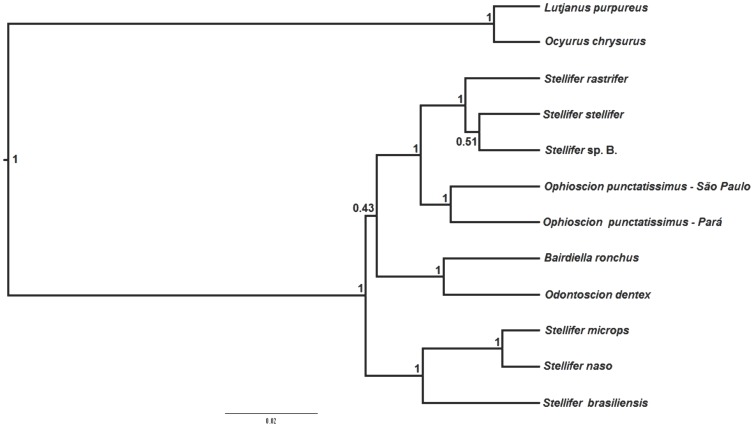 Figure 2