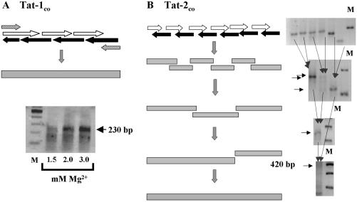 FIG. 1.