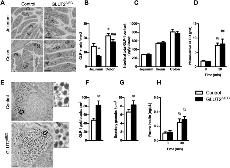 Figure 6