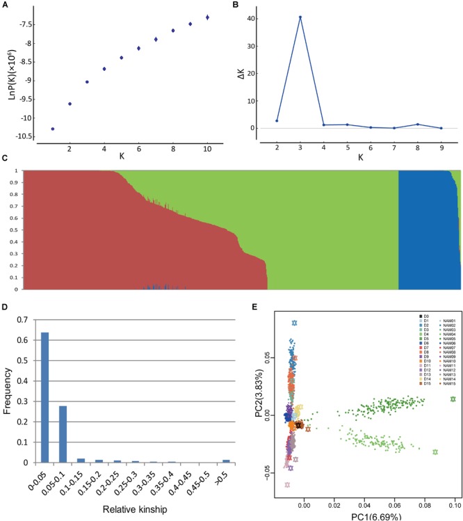 FIGURE 1