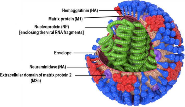 Figure 7