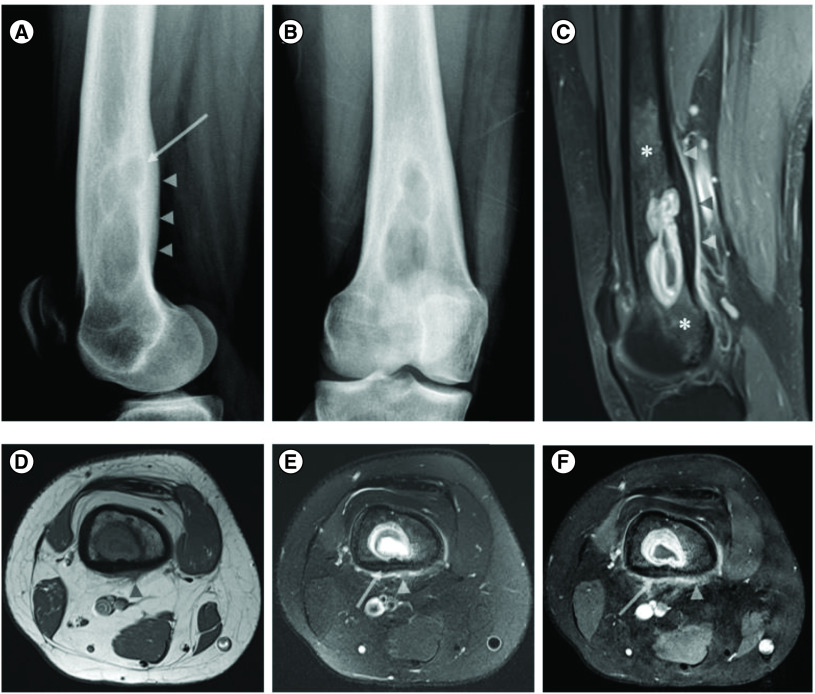 Figure 1. 