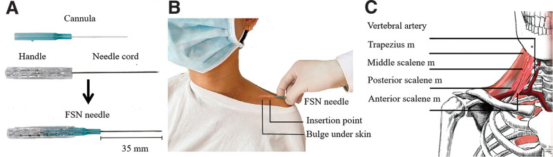 Figure 2.