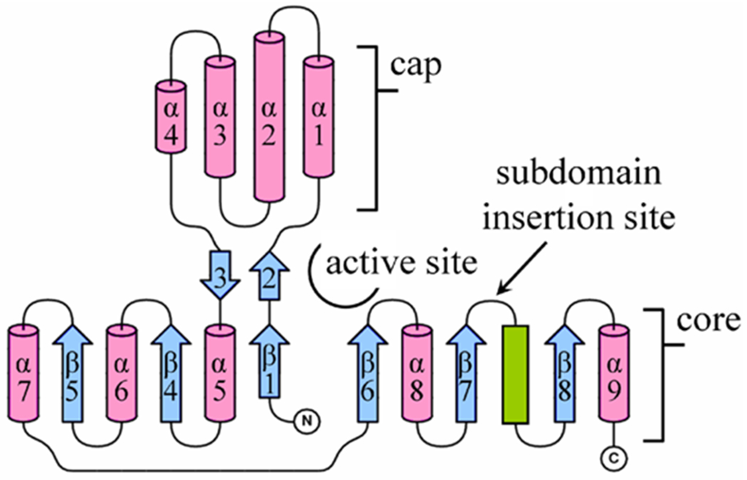 Figure 2.