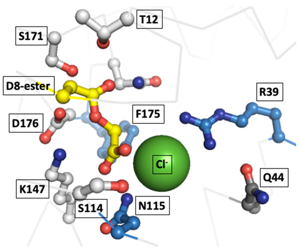 Figure 5.