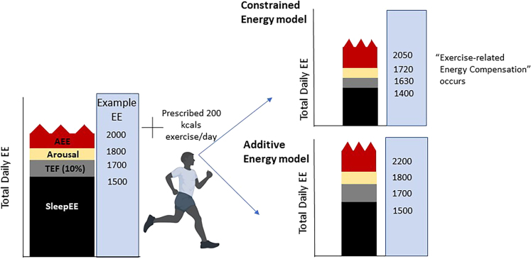 Figure 1