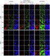 Extended Data Fig. 3