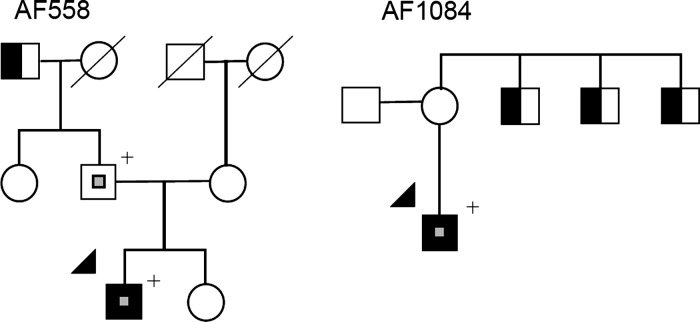 Figure 3