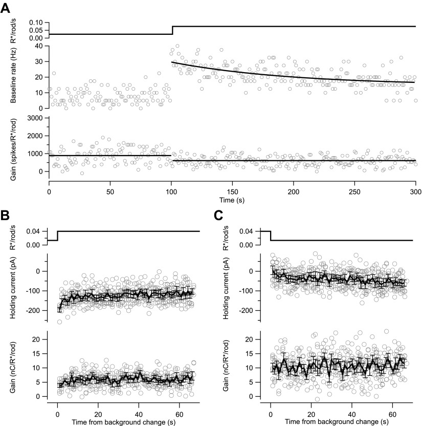 Figure 5—figure supplement 1.