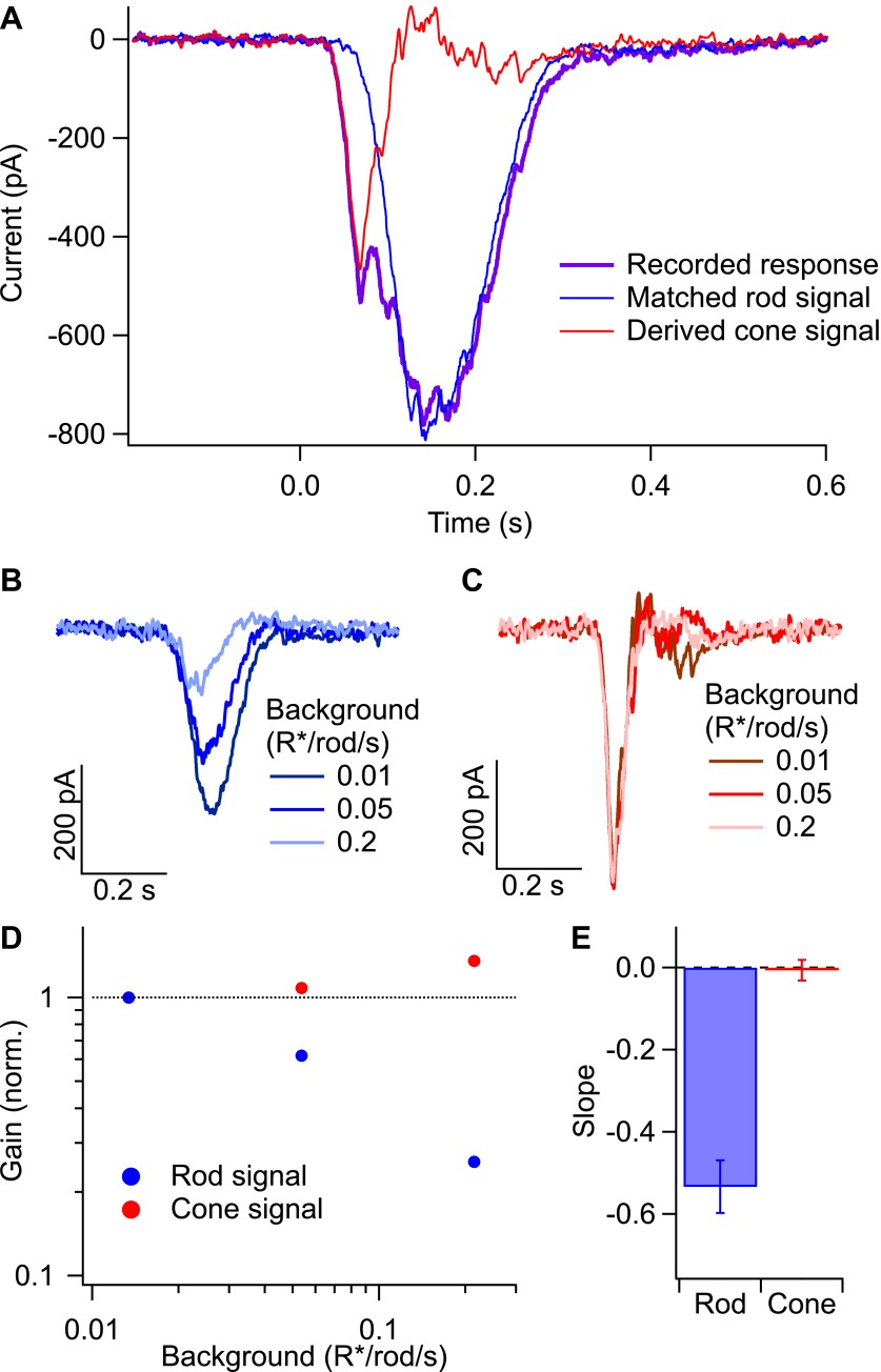 Figure 9.