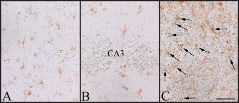 FIG. 7.