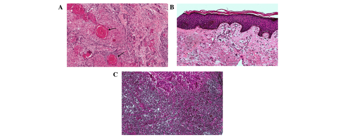 Figure 4.