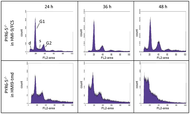 Figure 6