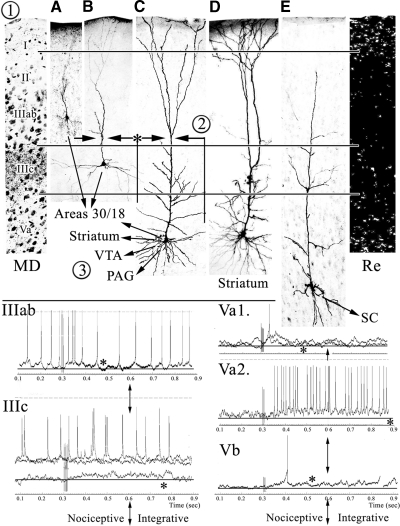 Fig. 10.