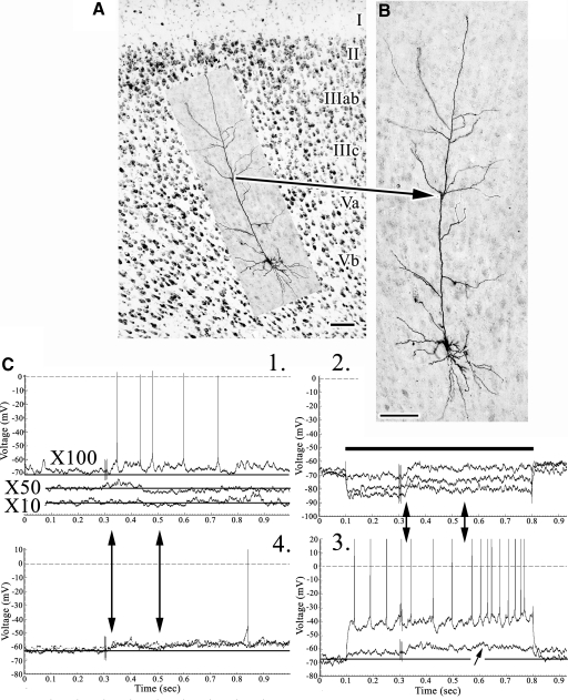 Fig. 6.