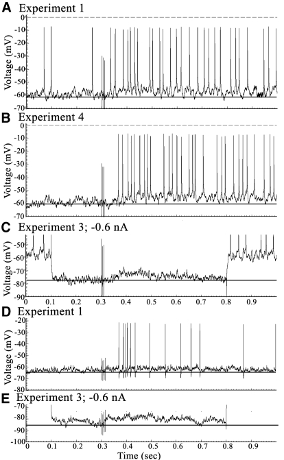 Fig. 5.