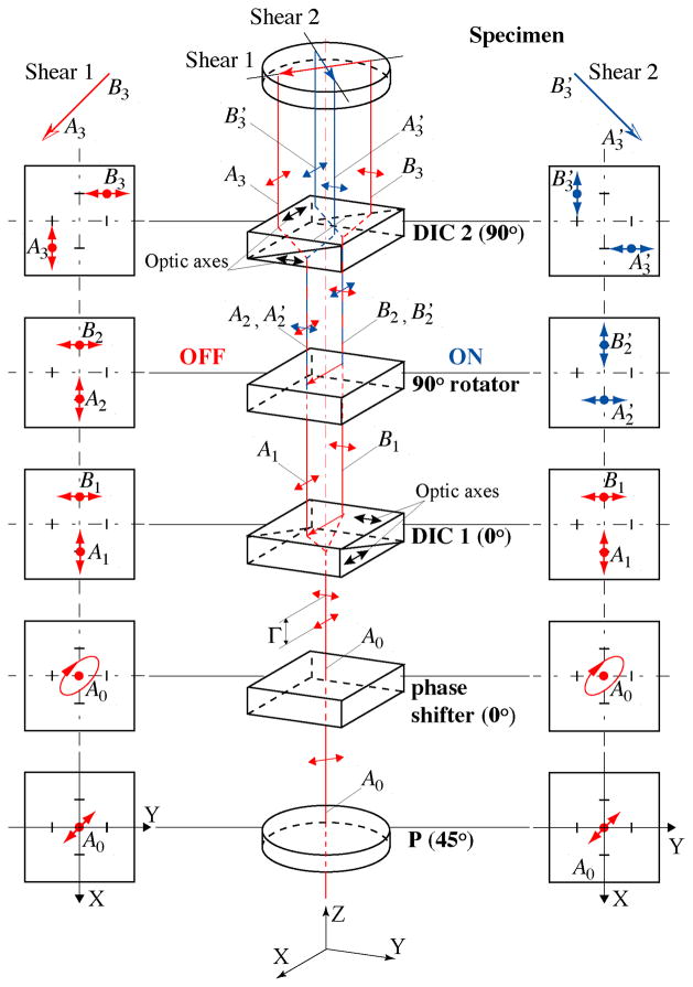 Fig. 3