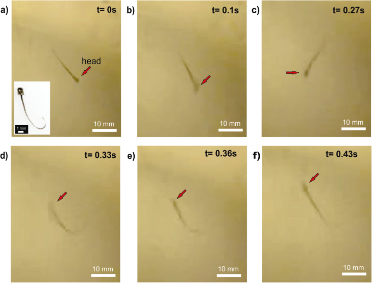 Figure 7.