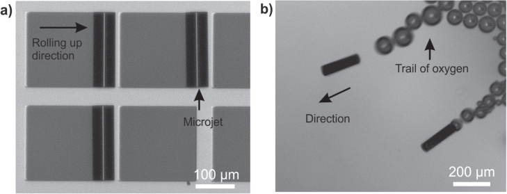 Figure 5.