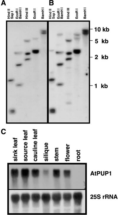 Figure 6.