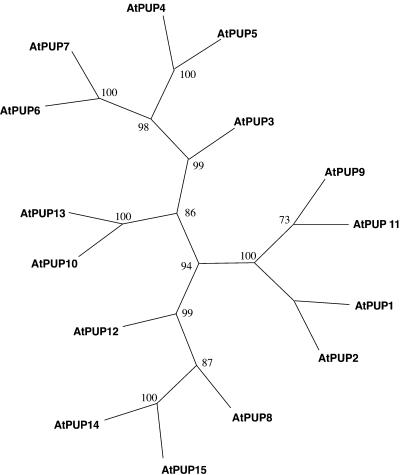 Figure 3.