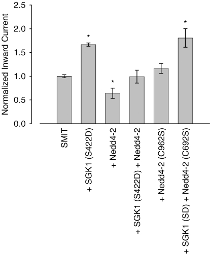 Figure 5