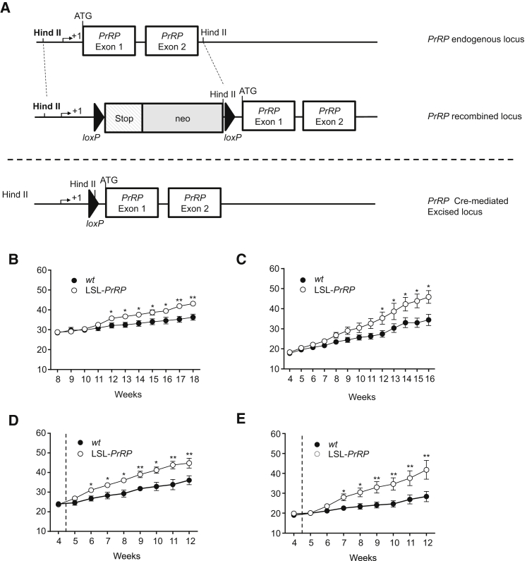 Figure 4