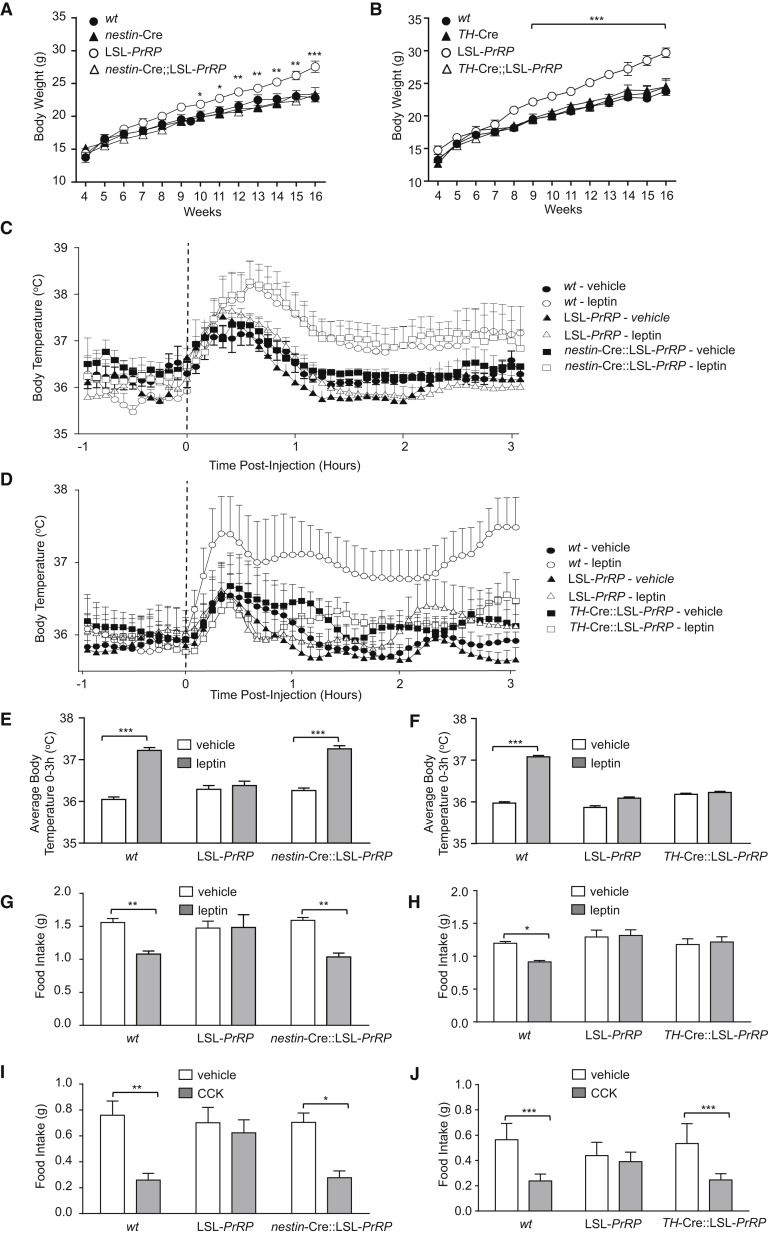 Figure 6