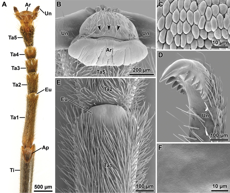 Figure 6.