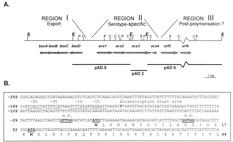 FIG. 1